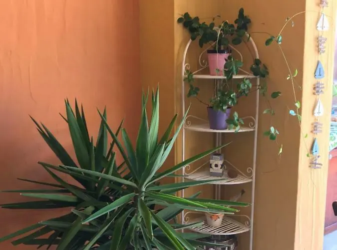 Attico Stefania 维拉西米乌斯